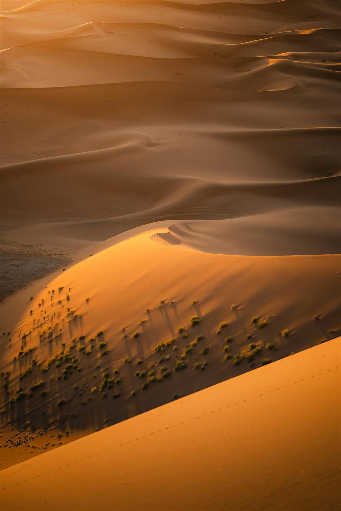 Omani dunes